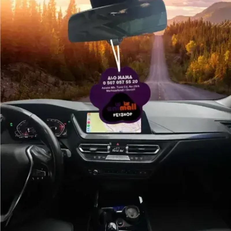 1000 Adet VIP Esans Oto Kokusu